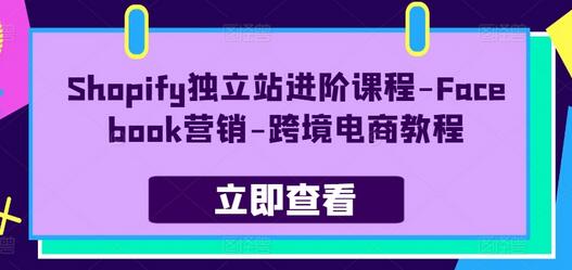 Shopify独立站进阶课程-Facebook营销-跨境电商教程-稳赚族