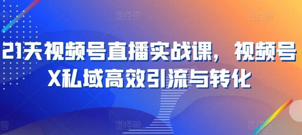 21天视频号直播实战课，视频号X私域高效引流与转化-稳赚族