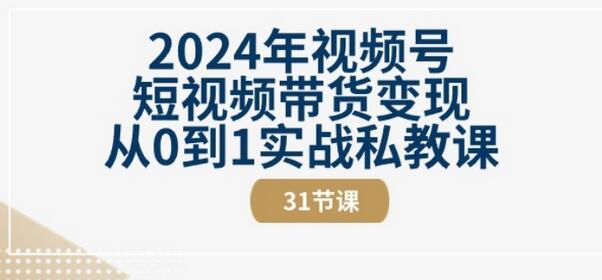 2024年视频号短视频带货变现从0到1实战私教课(31节视频课)-稳赚族