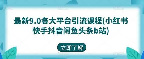 最新9.0各大平台引流课程(小红书快手抖音闲鱼头条b站)-稳赚族