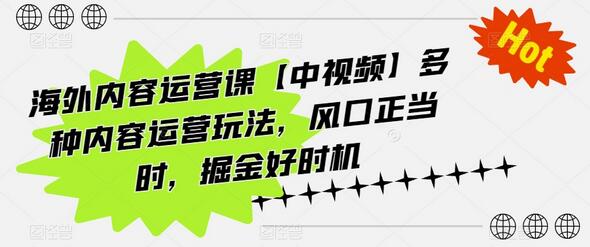 海外内容运营课【中视频】多种内容运营玩法，风口正当时，掘金好时机-稳赚族