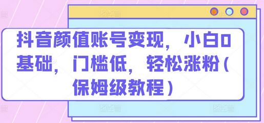 抖音颜值账号变现，小白0基础，门槛低，​轻松涨粉(保姆级教程)-稳赚族