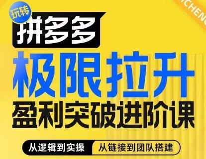 拼多多极限拉升盈利突破进阶课，​从算法到玩法，从玩法到团队搭建，体系化系统性帮助商家实现利润提升-稳赚族