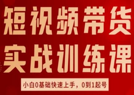 短视频带货实战训练课，好物分享实操，小白0基础快速上手，0到1起号-稳赚族