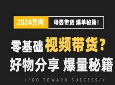 短视频母婴赛道实操流量训练营，零基础视频带货，好物分享，爆量秘籍-稳赚族