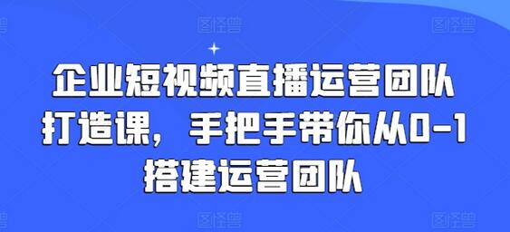 企业短视频直播运营团队打造课，手把手带你从0-1搭建运营团队-稳赚族