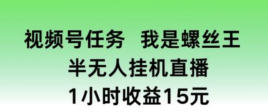 视频号任务，我是螺丝王， 半无人挂机1小时收益15元-稳赚族