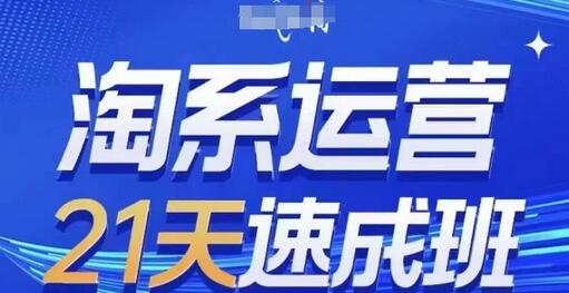 淘系运营21天速成班(更新24年6月)，0基础轻松搞定淘系运营，不做假把式-稳赚族