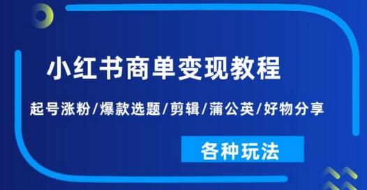 小红书商单变现教程：起号涨粉/爆款选题/剪辑/蒲公英/好物分享/各种玩法-稳赚族