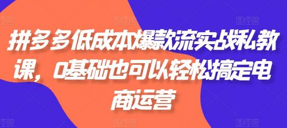 拼多多低成本爆款流实战私教课，0基础也可以轻松搞定电商运营-稳赚族