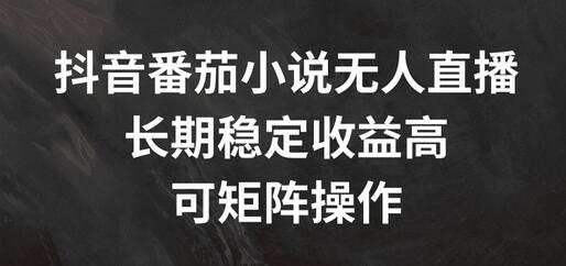 抖音番茄小说无人直播，长期稳定收益高，可矩阵操作-稳赚族