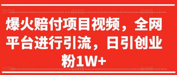 爆火赔付项目视频，全网平台进行引流，日引创业粉1W+-稳赚族