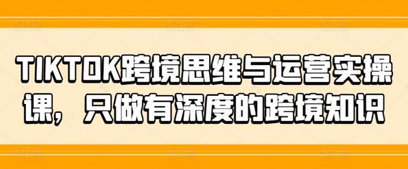 TIKTOK跨境思维与运营实操课，只做有深度的跨境知识-稳赚族