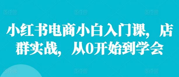 小红书电商小白入门课，店群实战，从0开始到学会-稳赚族