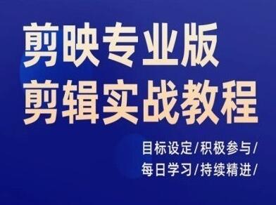 剪映专业版剪辑实战教程，目标设定/积极参与/每日学习/持续精进-稳赚族