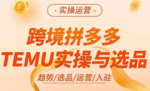 跨境拼多多TEMU实操与选品，多多temu跨境选品运营实操-稳赚族