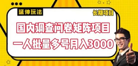 国内调查问卷矩阵项目，一人批量多号月入3000-稳赚族