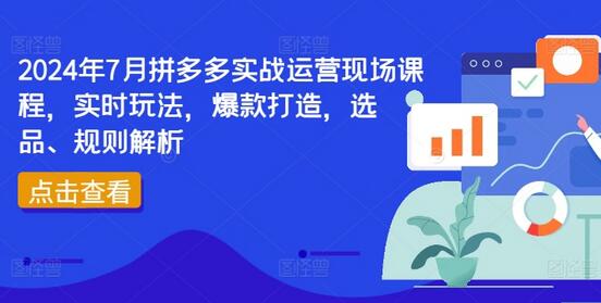 2024年7月拼多多实战运营现场课程，实时玩法，爆款打造，选品、规则解析-稳赚族