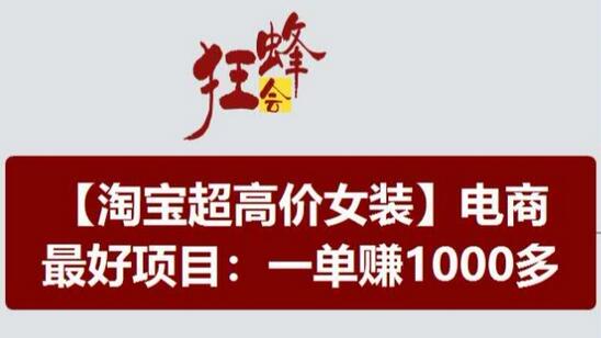 淘宝超高价女装项目，电商最好赛道，一单赚1000多-稳赚族