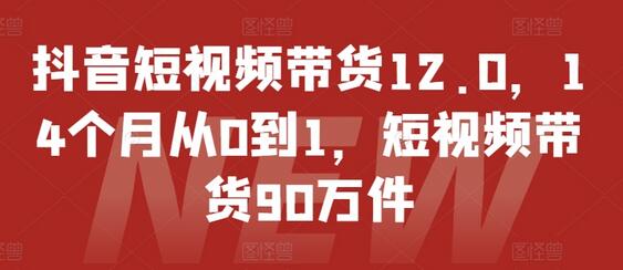 抖音短视频带货12.0，14个月从0到1，短视频带货90万件-稳赚族