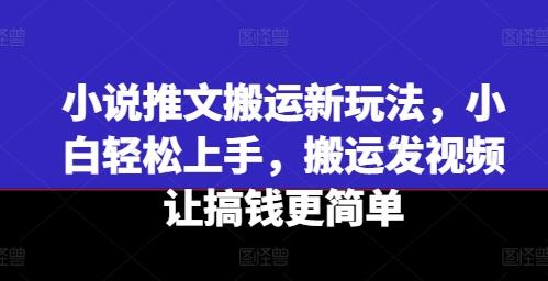 小说推文搬运新玩法，小白轻松上手，搬运发视频让搞钱更简单-稳赚族