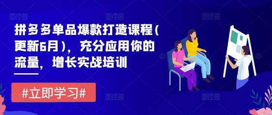 拼多多单品爆款打造课程(更新6月)，充分应用你的流量，增长实战培训-稳赚族