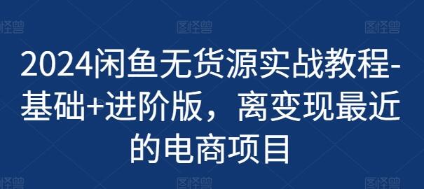 2024闲鱼无货源实战教程-基础+进阶版，离变现最近的电商项目-稳赚族