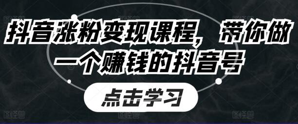 抖音涨粉变现课程，带你做一个赚钱的抖音号-稳赚族