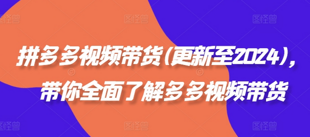 拼多多视频带货(更新至2024)，带你全面了解多多视频带货-稳赚族