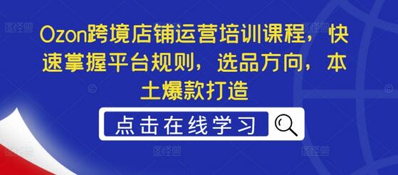 Ozon跨境店铺运营培训课程，快速掌握平台规则，选品方向，本土爆款打造-稳赚族