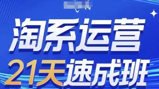 淘系运营21天速成班(更新24年8月)，0基础轻松搞定淘系运营，不做假把式-稳赚族