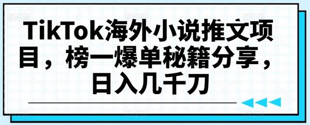 TikTok海外小说推文项目，榜一爆单秘籍分享，日入几千刀-稳赚族