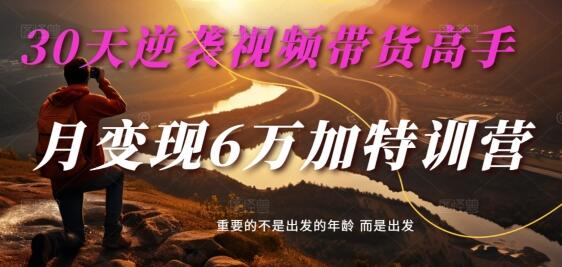 30天逆袭视频带货高手，单月变现6万加特训营-麦子甜-稳赚族