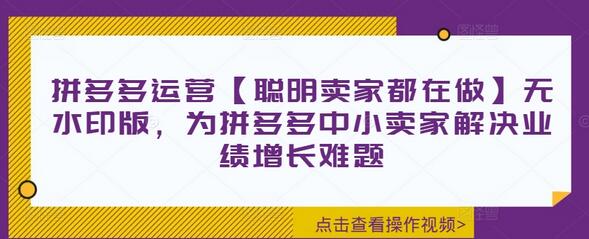 拼多多运营【聪明卖家都在做】无水印版，为拼多多中小卖家解决业绩增长难题-稳赚族