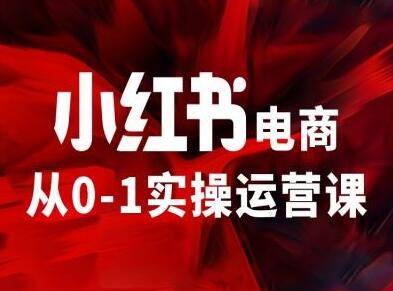 小红书电商从0-1实操运营课，让你从小白到精英-稳赚族