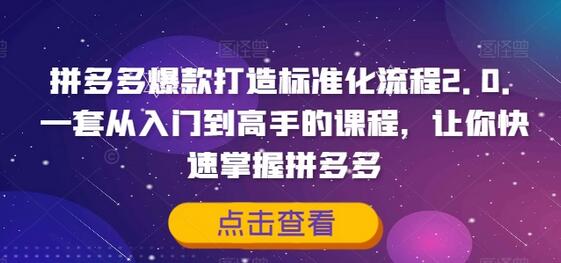 拼多多爆款打造标准化流程2.0，一套从入门到高手的课程，让你快速掌握拼多多-稳赚族