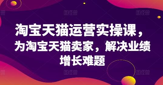 淘宝天猫运营实操课，为淘宝天猫卖家，解决业绩增长难题-稳赚族