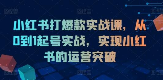 小红书打爆款实战课，从0到1起号实战，实现小红书的运营突破-稳赚族