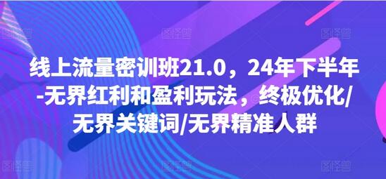 线上流量密训班21.0，24年下半年-无界红利和盈利玩法，终极优化/无界关键词/无界精准人群-稳赚族