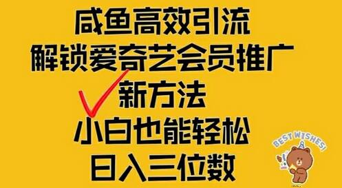 闲鱼高效引流，解锁爱奇艺会员推广新玩法，小白也能轻松日入三位数-稳赚族