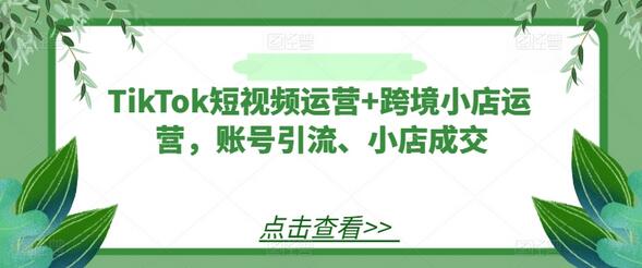 TikTok短视频运营+跨境小店运营，账号引流、小店成交-稳赚族