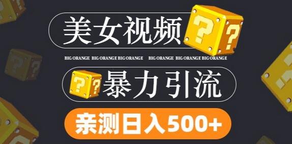 搬运tk美女视频全网分发，日引s粉300+，轻松变现，不限流量不封号-稳赚族