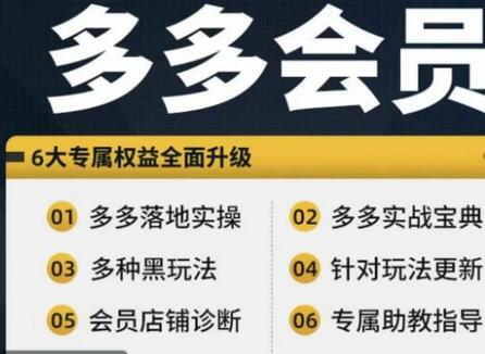 拼多多会员，拼多多实战宝典+实战落地实操，从新手到高阶内容全面覆盖-稳赚族