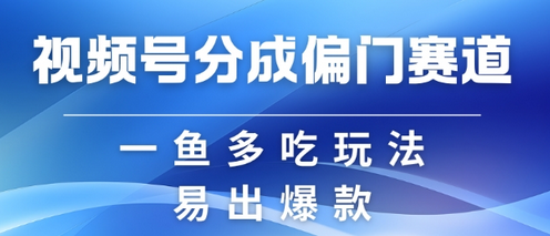 视频号创作者分成计划偏门类目，容易爆流，实拍内容简单易做-稳赚族