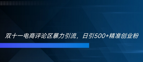 双十一电商评论区暴力引流，日引500+精准创业粉-稳赚族