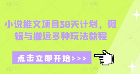 小说推文项目38天计划，剪辑与搬运多种玩法教程-稳赚族